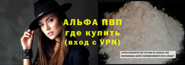 эйфоретик Белокуриха