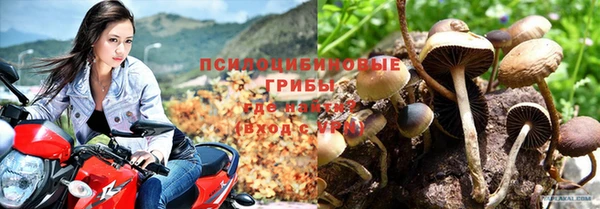 бошки Армянск