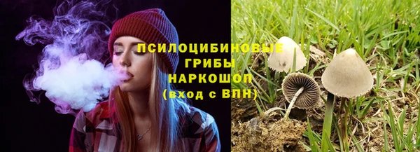mdpv Баксан