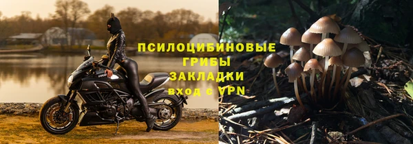 бошки Армянск