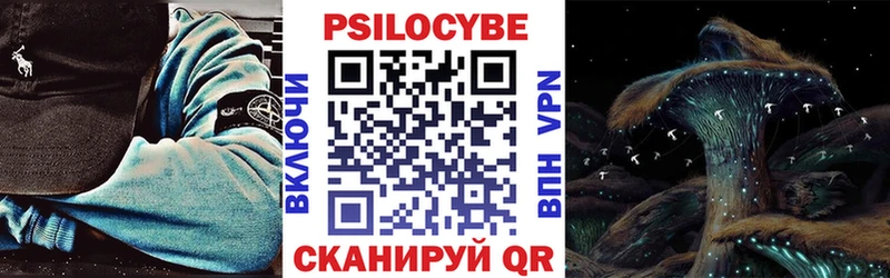 Купить  Тайга  Псилоцибиновые грибы Psilocybine cubensis 