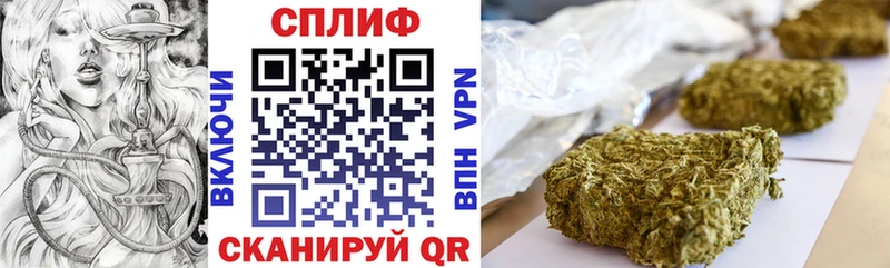 Канабис план  Купить  Тайга 